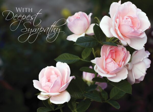 Roses Sympathy - Boxed Greeting Cards - Image 2