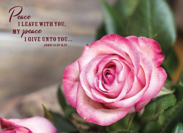 Roses Sympathy - Boxed Greeting Cards - Image 6