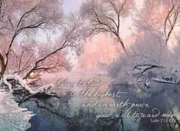 Boxed Christmas Cards - Winter Landscapes - Image 2