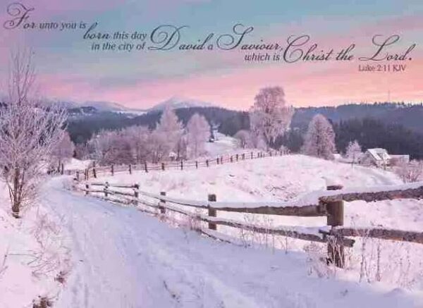 Boxed Christmas Cards - Winter Landscapes - Image 5