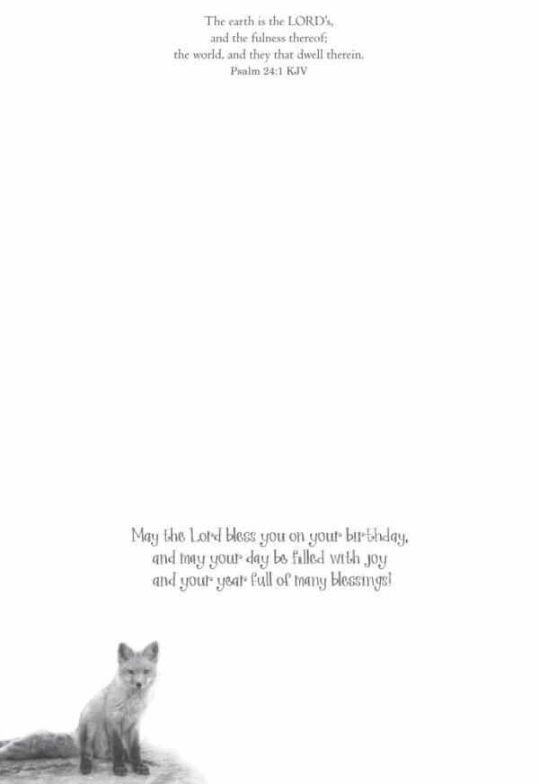 Boxed Birthday Cards - Woodland Greetings - Image 5