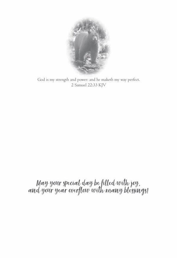 Boxed Birthday Cards - Woodland Greetings - Image 7