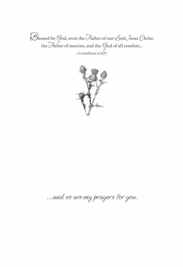Boxed Praying for You Cards - Songbirds - Image 5