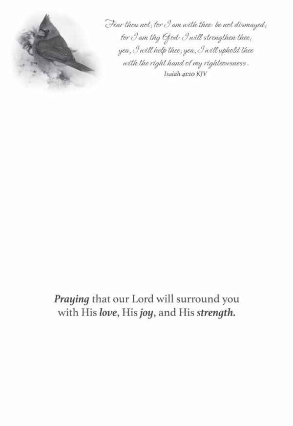 Boxed Praying for You Cards - Songbirds - Image 7