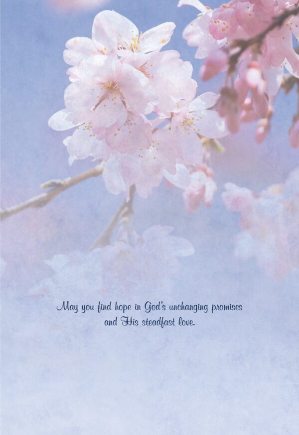 Boxed Encouragement Cards - Springtime - Image 3