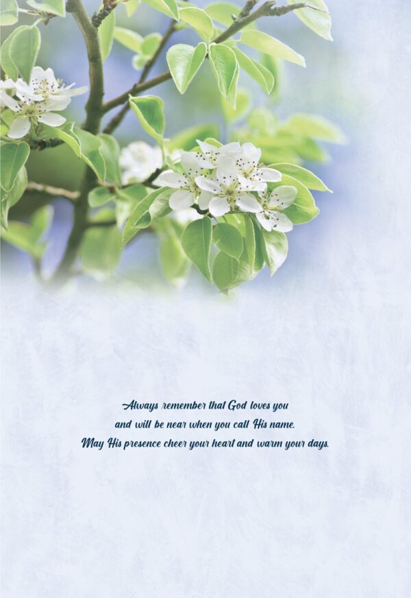 Boxed Encouragement Cards - Springtime - Image 7