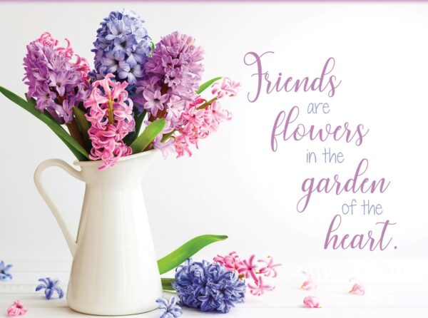 Boxed Friendship Cards - Bouquets - Image 4