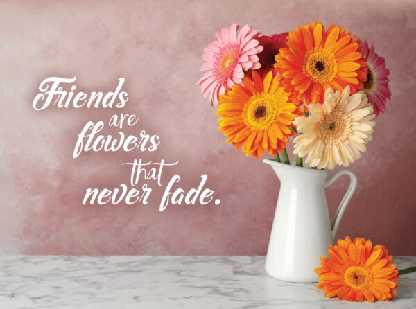 Boxed Friendship Cards - Bouquets - Image 6