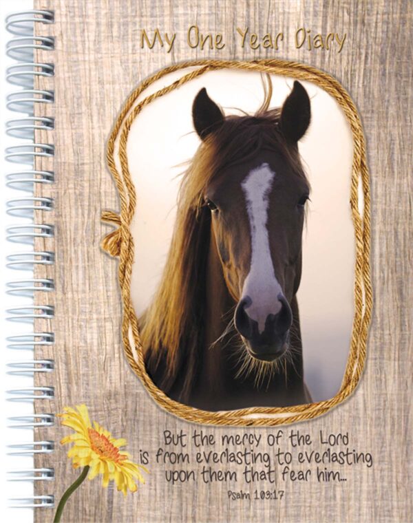 One Year Diary: Mercy of the Lord