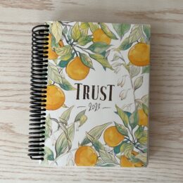 Image of Classic Weekly Planner 2023 Trust