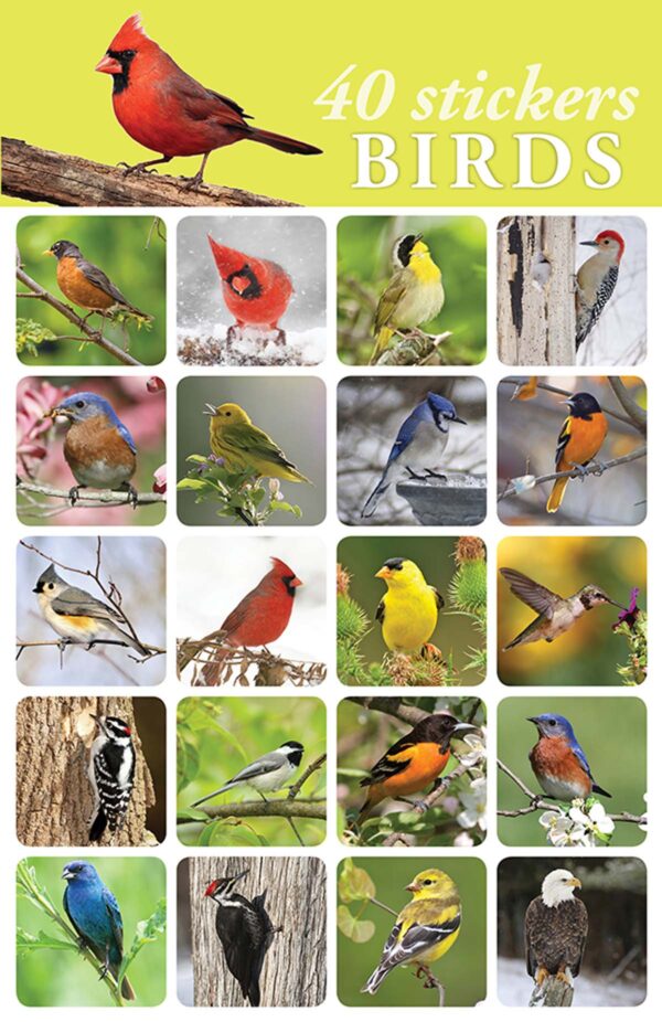 Stickers Birds 40pk