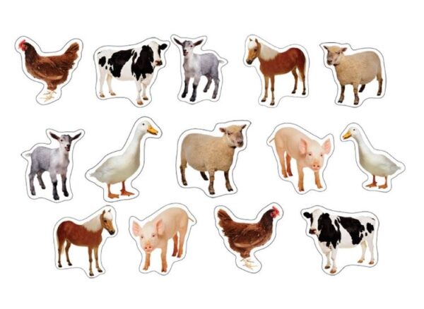 Stickers Farm Animals: Photographic Shape