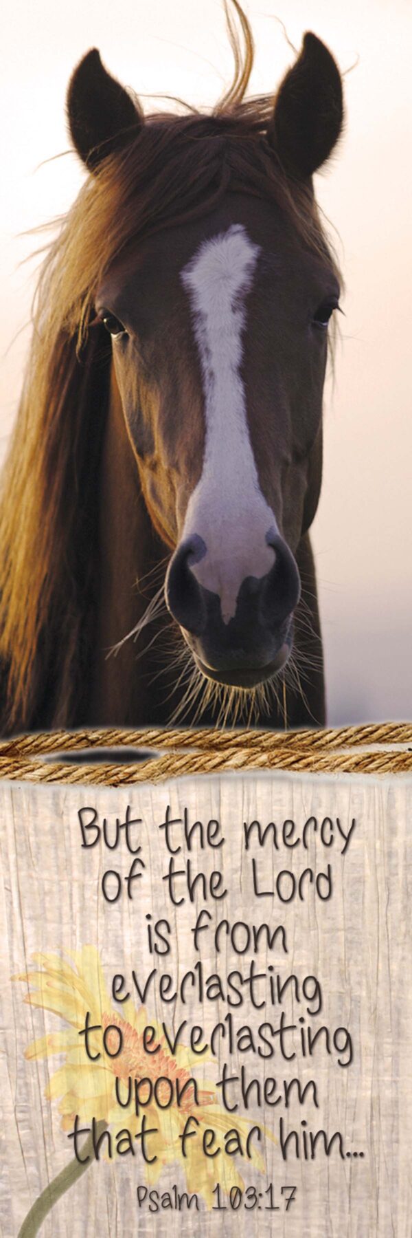 Bookmark: Mercy - Horse, Psalm 103:17