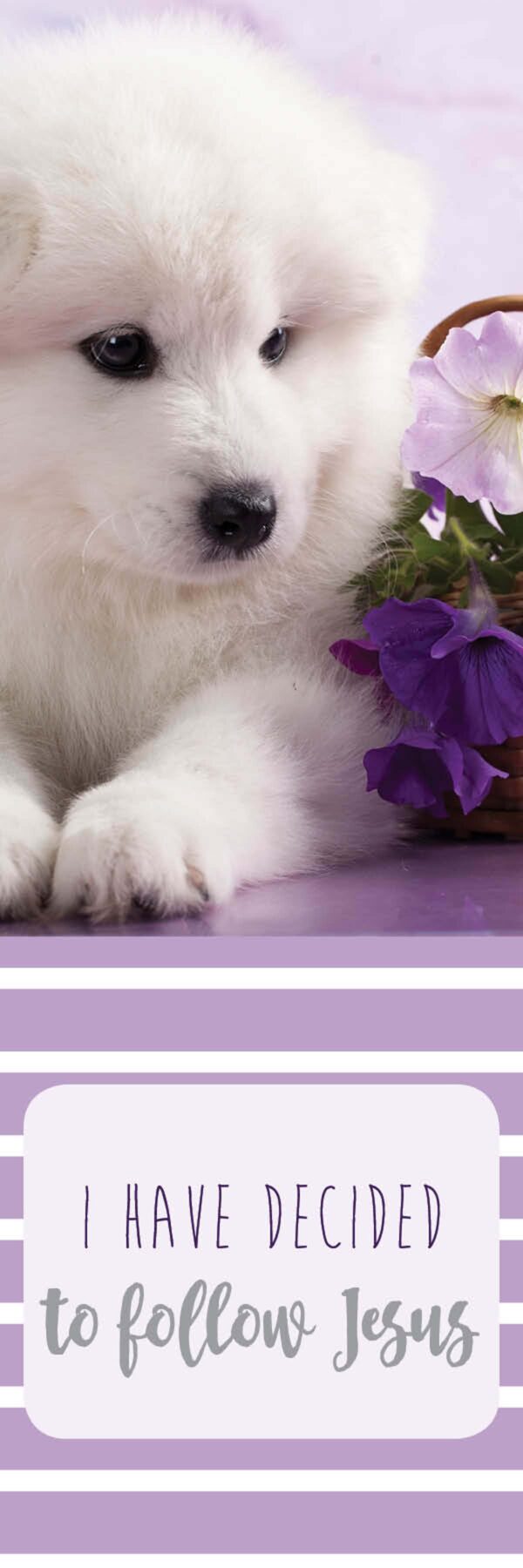 Bookmark: Decided