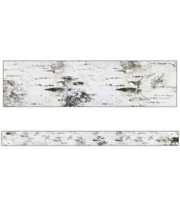 Straight Borders Woodland Whimsy Birch Tree- Discontinued