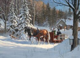 Image of Puzzle Sugar Shack Horses 1000 pc- Discontinued