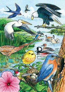 Image of Puzzle Tray North American Birds 35 pc
