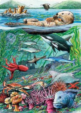 Image of Puzzle Tray Life on the Pacific Ocean