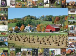 Puzzle Harvest Season 1000 Pc.