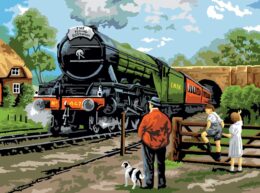 Paint by Number Steam Train
