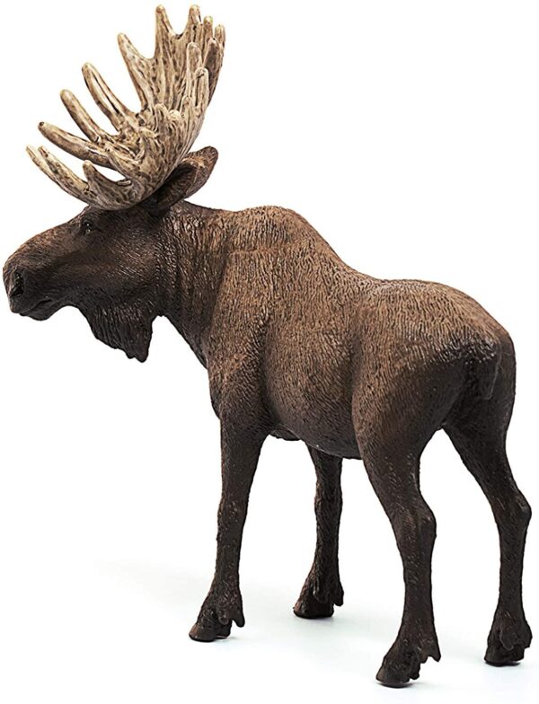 Moose Bull - Image 2