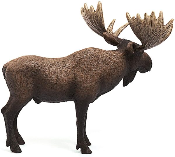 Moose Bull - Image 3