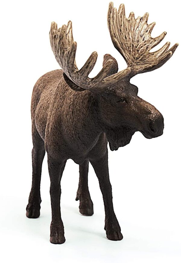 Moose Bull - Image 4