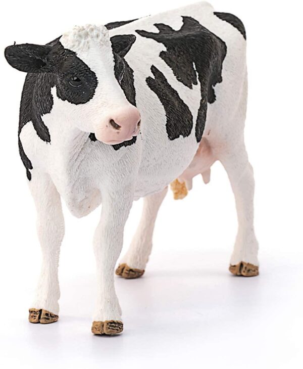 Holstein Cow - Image 2