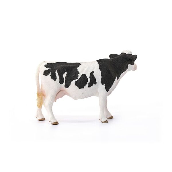 Holstein Cow - Image 3