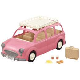 Image of Family Picnic Van