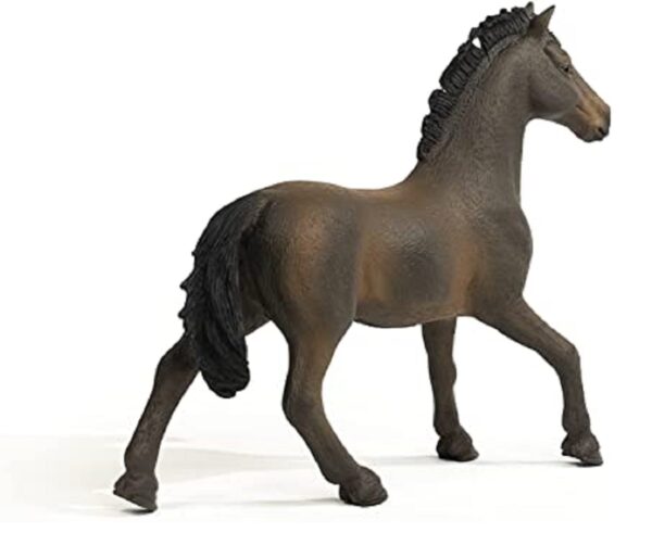 Oldenburger Stallion - Image 2