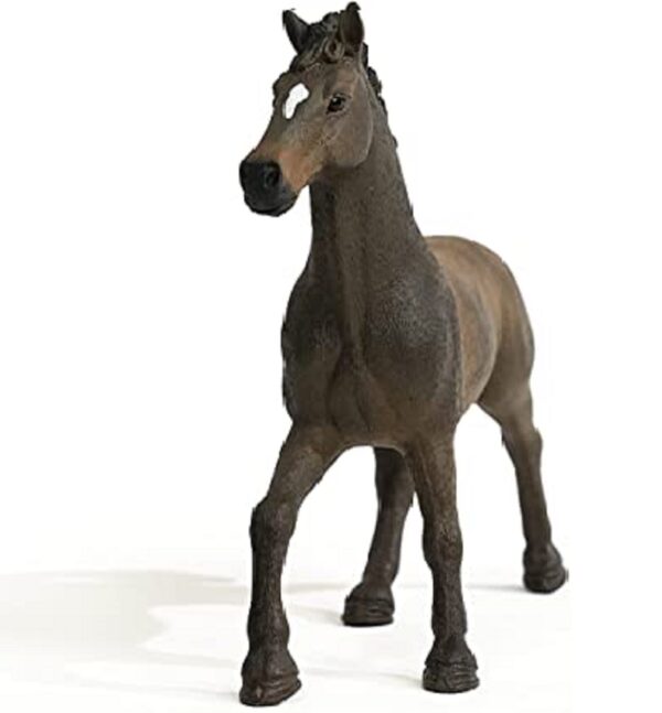 Oldenburger Stallion - Image 3