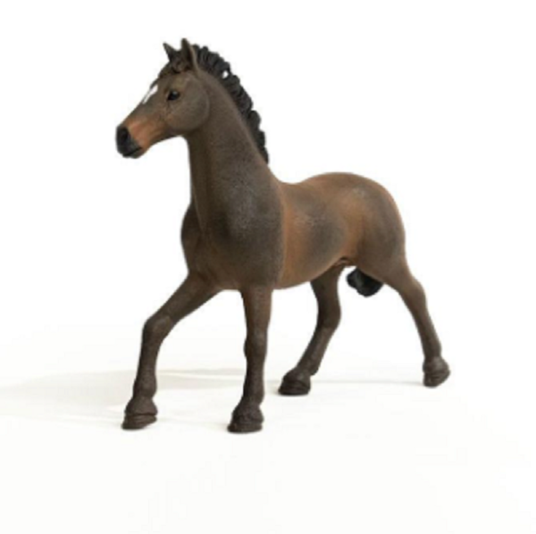 Oldenburger Stallion - Image 4