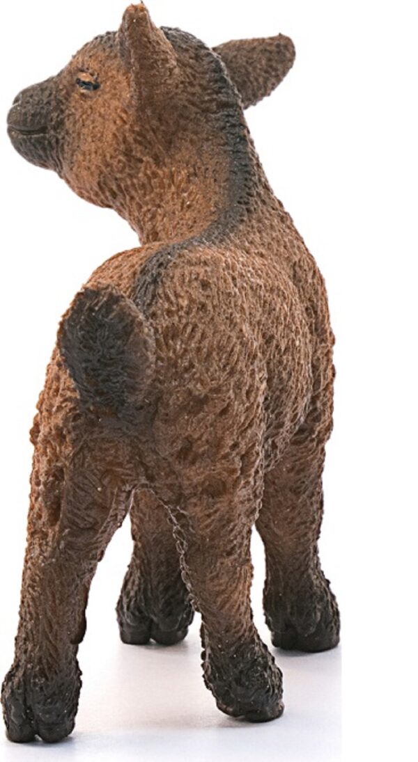 Dwarf Goat Kid - Image 4