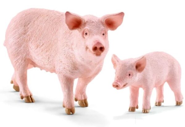 RWSO Pig - Image 4