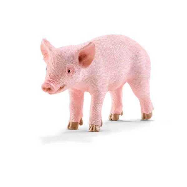 Piglet Standing