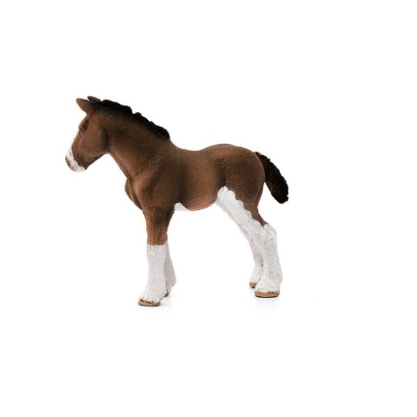 Clydesdale Foal - Image 5