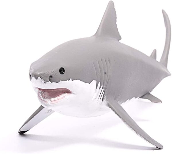 Great White Shark - Image 3