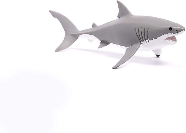 Great White Shark - Image 4