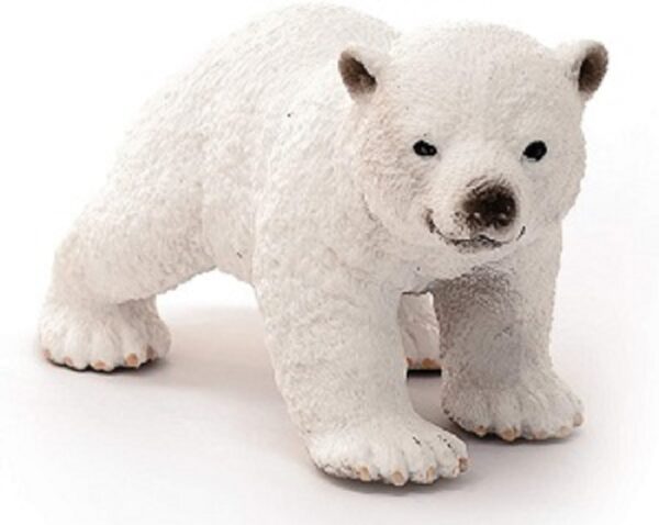 Polar Bear Cub, Walking - Image 3