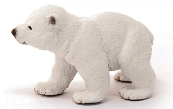 Polar Bear Cub, Walking - Image 4