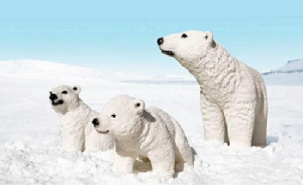 Polar Bear Cub, Walking - Image 6