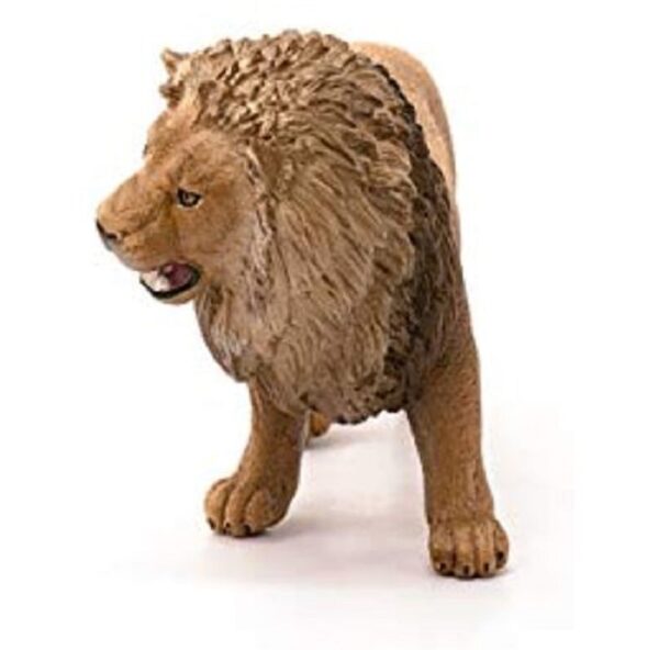 Lion, Roaring - Image 2
