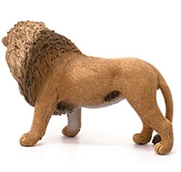 Lion, Roaring - Image 3