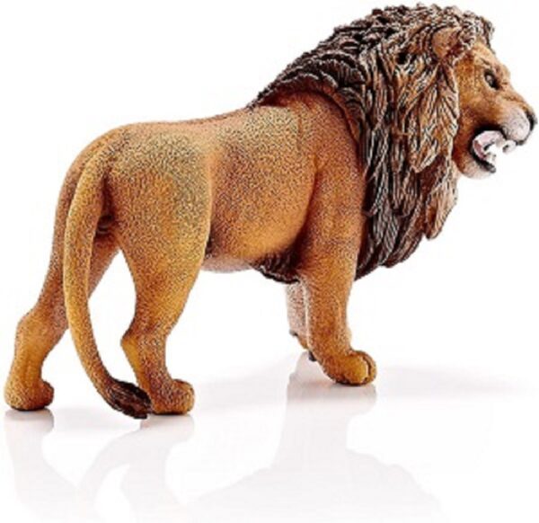 Lion, Roaring - Image 4