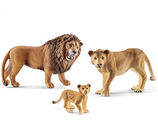 Lion, Roaring - Image 6