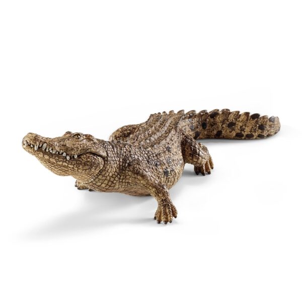 RWSO Crocodile