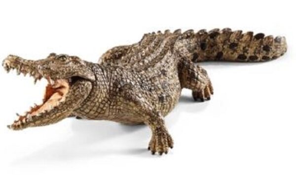 RWSO Crocodile - Image 2