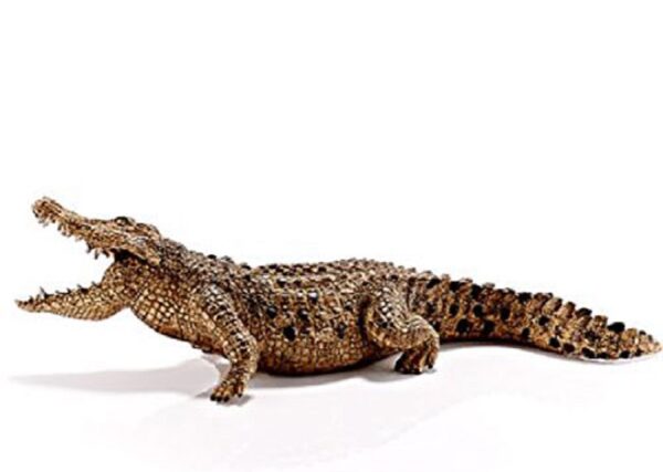 RWSO Crocodile - Image 3