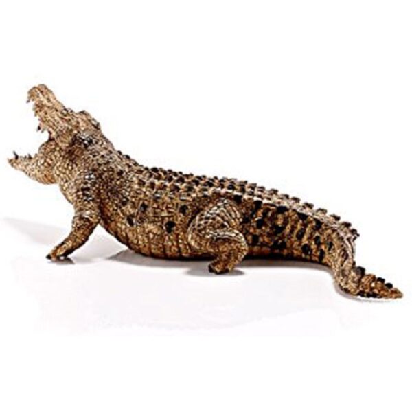 RWSO Crocodile - Image 4